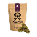 Purple Touch Ökopack Blüten 5g - Hanfify®