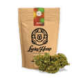 Skittlez Ökopack Blüten 3g - Hanfify®