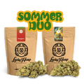 Sommer Duo Blüten 2 Sorten je 5g - Hanfify®