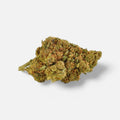 Strawberry Haze - Superior Blüte 55% Blüten - Hanfify