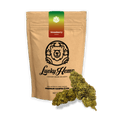 Strawberry Kush Blüten 10g - Hanfify®