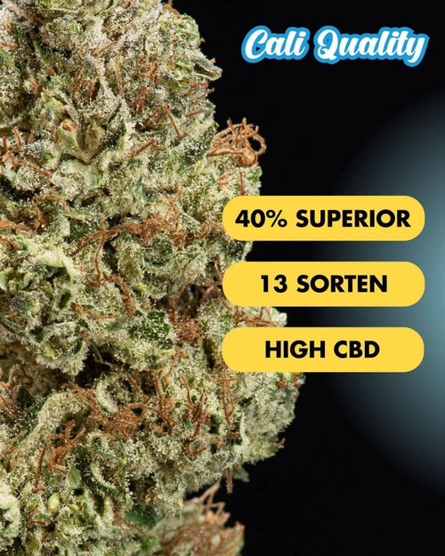 Superior Blüten Probierset | 13 Sorten Blüten - Hanfify