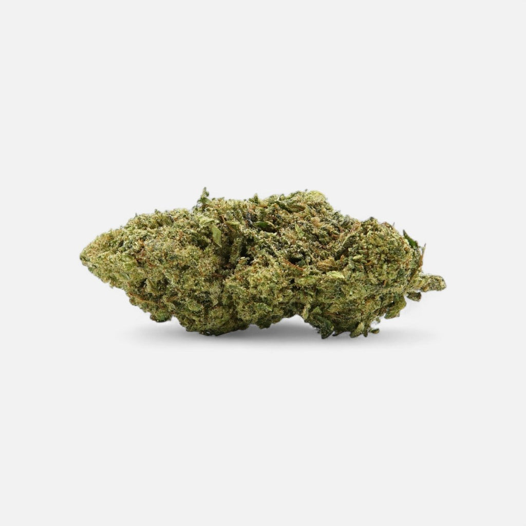 💨Vollis Turbobud - SATIVA TURBO LVL 5/5 Blüten 5g - Hanfify