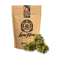 Watermelon Ökopack Blüten 5g - Hanfify®